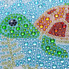 Afbeelding in Gallery-weergave laden, Diamond Painting Schildpad met Fotolijst
