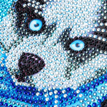 Afbeelding in Gallery-weergave laden, Diamond Painting Kit 5D met Husky Design en Fotolijst
