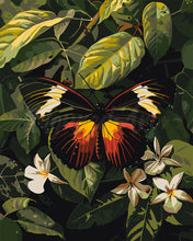 Afbeelding in Gallery-weergave laden, Schilderen op Nummer - Heliconius Erato Vlinder