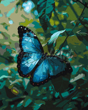 Afbeelding in Gallery-weergave laden, Schilderen op Nummer - Blauwe Morpho Vlinder