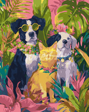 Afbeelding in Gallery-weergave laden, Schilderen op Nummer - Trio tropische dieren