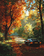 Afbeelding in Gallery-weergave laden, Schilderen op Nummer - Gouden reis over de weg