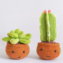 Afbeelding in Gallery-weergave laden, Haakpakket Amigurumi - Cactus in Pot