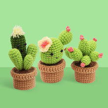 Afbeelding in Gallery-weergave laden, Haakpakket Amigurumi - Cactus Trio Figured'Art