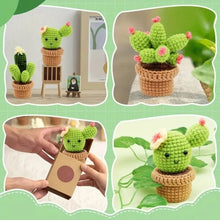 Afbeelding in Gallery-weergave laden, Haakpakket Amigurumi - Cactus Trio