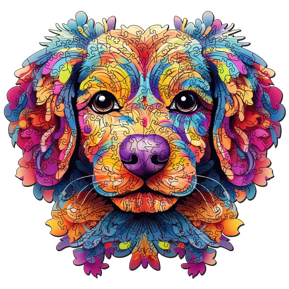 Figured'Art