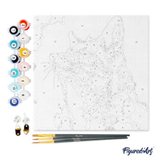 Afbeelding in Gallery-weergave laden, Mini Schilderen op Nummer met Frame - Vos met blauwe lucht