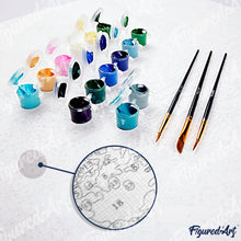 Afbeelding in Gallery-weergave laden, Schilderen op Nummer - Vintage Koi Karper en Bloemen