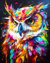 Afbeelding in Gallery-weergave laden, Diamond Painting - Kleurrijke Abstracte Uil