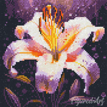 Afbeelding in Gallery-weergave laden, Mini Diamond Painting 25x25 cm - Lelie Bloesem