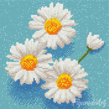 Afbeelding in Gallery-weergave laden, Mini Diamond Painting 25x25 cm - Lieve Witte Madeliefjes