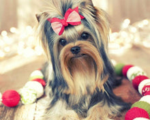 Afbeelding in Gallery-weergave laden, Diamond Painting - Schattig hondje