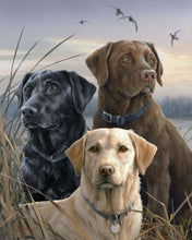 Afbeelding in Gallery-weergave laden, Schilderen op Nummer - Drie Labradors