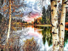 Afbeelding in Gallery-weergave laden, Diamond Painting - Berkenbomen en meer Diamond Painting Landschappen, landschappen