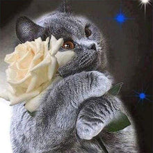 Afbeelding in Gallery-weergave laden, Diamond Painting - Kat en witte roos dieren, katten, Diamond Painting Dieren, Diamond Painting Landschappen, landschappen