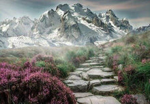 Afbeelding in Gallery-weergave laden, Diamond Painting - Bergpad Diamond Painting Landschappen, landschappen, bergen