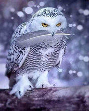 Afbeelding in Gallery-weergave laden, Diamond Painting - Uilenveer dieren, Diamond Painting Dieren, uilen