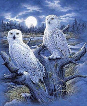 Afbeelding in Gallery-weergave laden, Diamond Painting - Uilen en maan dieren, Diamond Painting Dieren, uilen