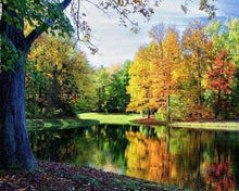 Afbeelding in Gallery-weergave laden, Diamond Painting - Uitzicht op de vijver Diamond Painting Landschappen, landschappen