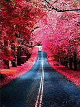 Afbeelding in Gallery-weergave laden, Diamond Painting - Weg in de herfst Diamond Painting Landschappen, landschappen