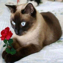 Afbeelding in Gallery-weergave laden, Diamond Painting - Romantische kat dieren, katten, Diamond Painting Dieren, romantiek