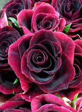 Afbeelding in Gallery-weergave laden, Diamond Painting - Roos Diamond Painting Bloemen, bloemen