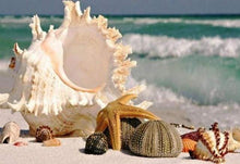 Afbeelding in Gallery-weergave laden, Diamond Painting - Schelpen langs het water dieren, Diamond Painting Dieren