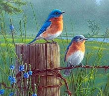 Afbeelding in Gallery-weergave laden, Diamond Painting - Kleine Vogels dieren, vogels, Diamond Painting Dieren