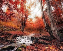 Afbeelding in Gallery-weergave laden, Diamond Painting - Kleine rivier in het bos Diamond Painting Landschappen, landschappen