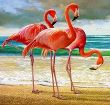Afbeelding in Gallery-weergave laden, Diamond Painting - Drie Flamingo's dieren, Diamond Painting Dieren, flamingo's