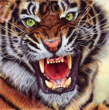 Afbeelding in Gallery-weergave laden, Diamond Painting - Tijgertanden dieren, Diamond Painting Dieren, tijgers