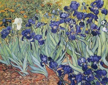 Afbeelding in Gallery-weergave laden, Diamond Painting - Van Gogh Bloemen Ontwerp Diamond Painting Beroemde Schilderijen, beroemde schilderijen, bloemen, Van Gogh