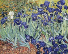 Afbeelding in Gallery-weergave laden, Diamond Painting - Van Gogh Bloemen Diamond Painting Beroemde Schilderijen, beroemde schilderijen, bloemen, Van Gogh
