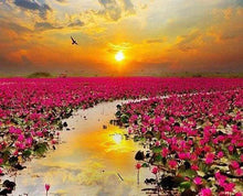 Afbeelding in Gallery-weergave laden, Diamond Painting - Waterlelies Diamond Painting Landschappen, landschappen