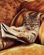 Afbeelding in Gallery-weergave laden, Schilderen op Nummer - Knoei niet met deze kat