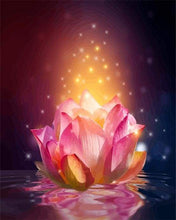 Afbeelding in Gallery-weergave laden, Schilderen op Nummer - Licht Drijvende Lotus