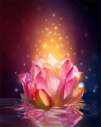 Schilderen op Nummer - Licht Drijvende Lotus