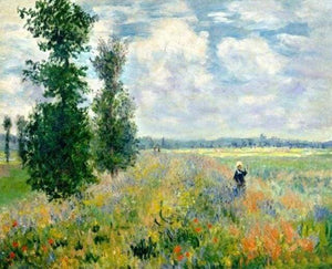 Schilderen op Nummer - Monet Veld met klaprozen