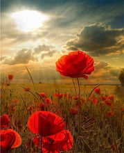 Afbeelding in Gallery-weergave laden, Schilderen op Nummer - Rode bloemen en zonlicht