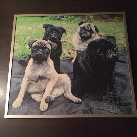 Amber en haar gepersonaliseerde diamond painting