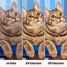 Afbeelding in Gallery-weergave laden, Schilderen op nummer Eigen foto - van 40x50 cm tot 80x120 cm