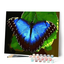 Afbeelding in Gallery-weergave laden, Schilderen op Nummer - Blauwe vlinder
