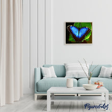 Afbeelding in Gallery-weergave laden, Schilderen op Nummer - Blauwe vlinder