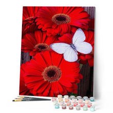 Afbeelding in Gallery-weergave laden, Schilderen op Nummer - Vlinder en rode bloemen