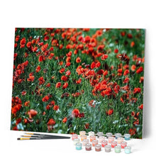 Afbeelding in Gallery-weergave laden, Schilderen op Nummer - Balsamine