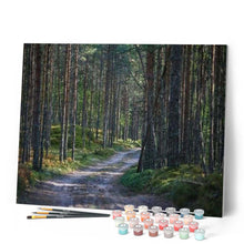 Afbeelding in Gallery-weergave laden, Schilderen op Nummer - Pad in het bos