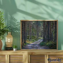 Afbeelding in Gallery-weergave laden, Schilderen op Nummer - Pad in het bos