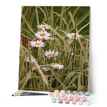 Afbeelding in Gallery-weergave laden, Schilderen op Nummer - Margrieten in de tuin