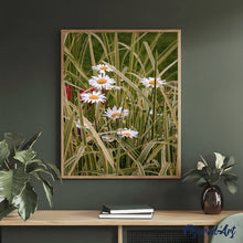 Afbeelding in Gallery-weergave laden, Schilderen op Nummer - Margrieten in de tuin