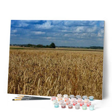 Afbeelding in Gallery-weergave laden, Schilderen op Nummer - Platteland veld